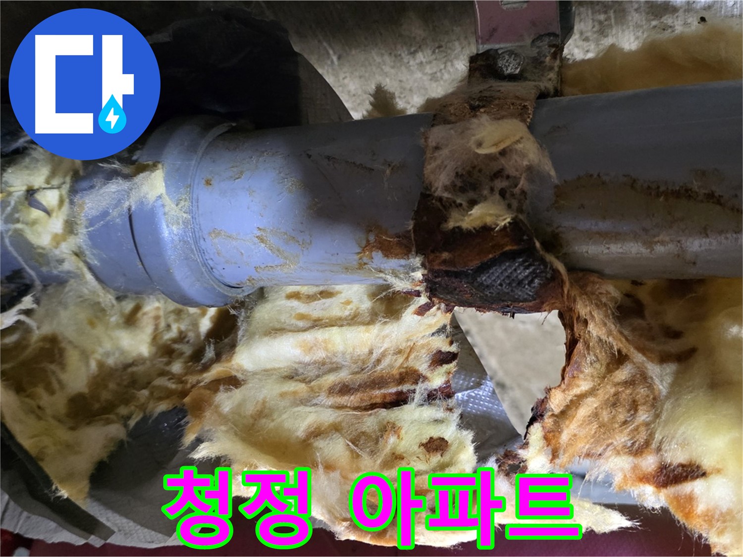 남양주 화도읍 두산아파트 누수 - 누수 문제를 해결하고 곰팡이 제로의 청정 아파트를 만들었습니다.