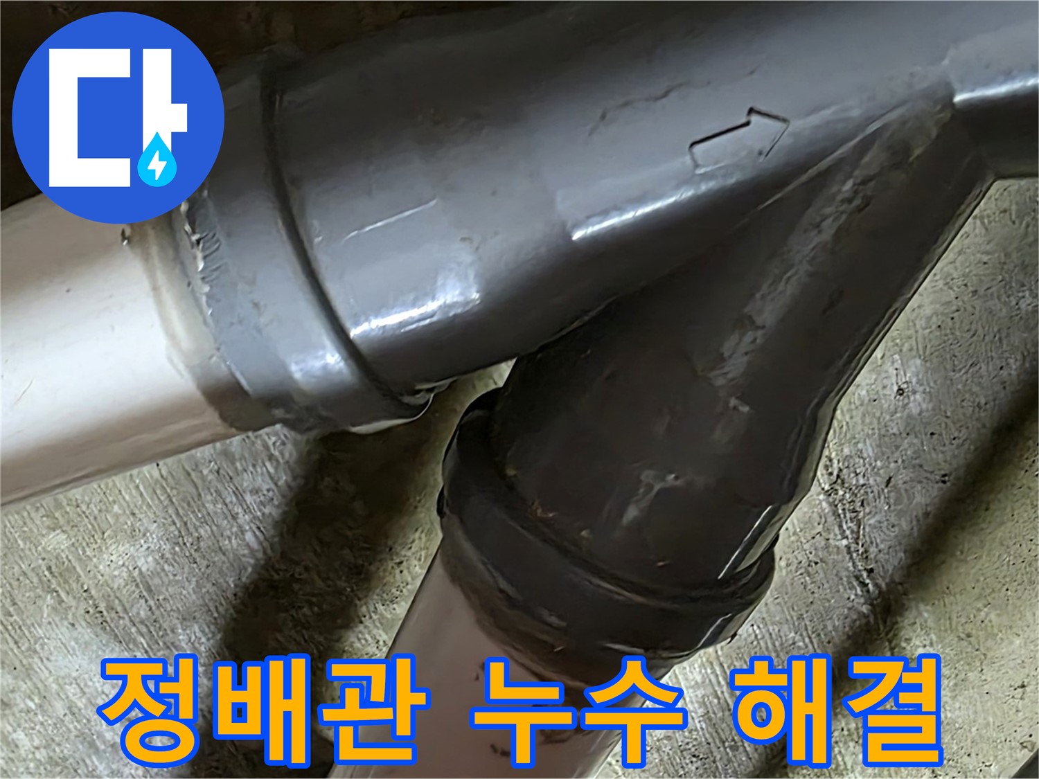 남양주 화도읍 창현리 두산아파트 정배관 누수 - 누수탐지부터 완벽한 보수까지 책임지는 믿음직한 누수 해결 전문 업체입니다.