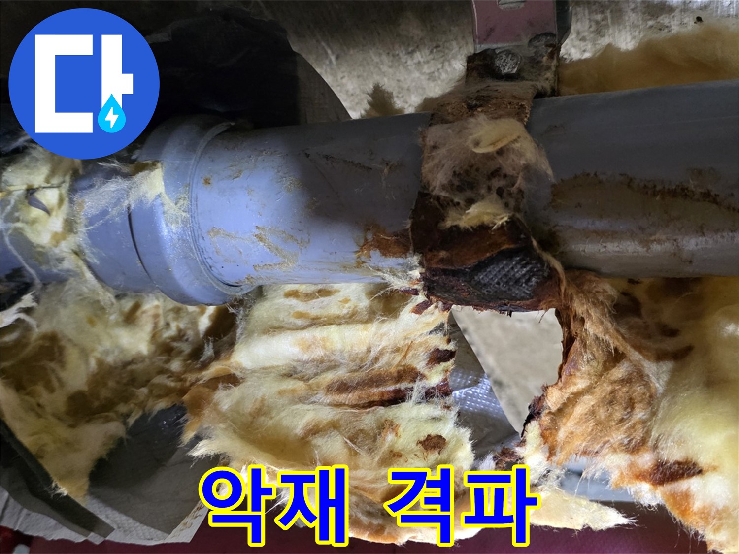 두산아파트 누수 - 낡은 배관, 곰팡이, 젖은 단열재 3가지 악재를 완전 격파했습니다.