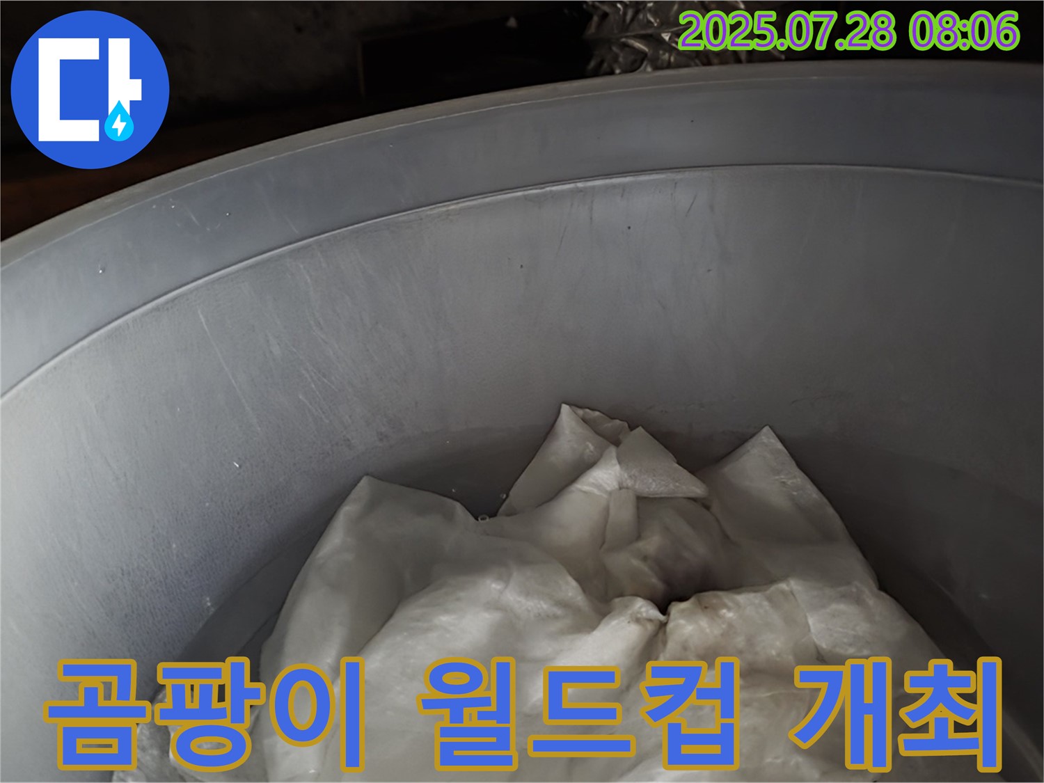 빗물 누수 - 양동이 속 젖은 휴지, 곰팡이 왕국 월드컵 개최 준비! 이제 전문가가 개최를 막습니다.