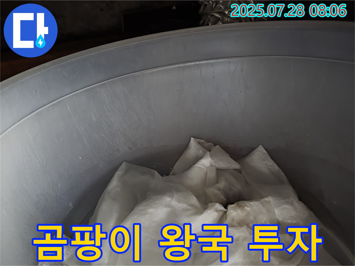 빗물 누수 - 양동이 속 젖은 휴지, 곰팡이 왕국 투자 유치! 이제 전문가가 투자금을 회수합니다.