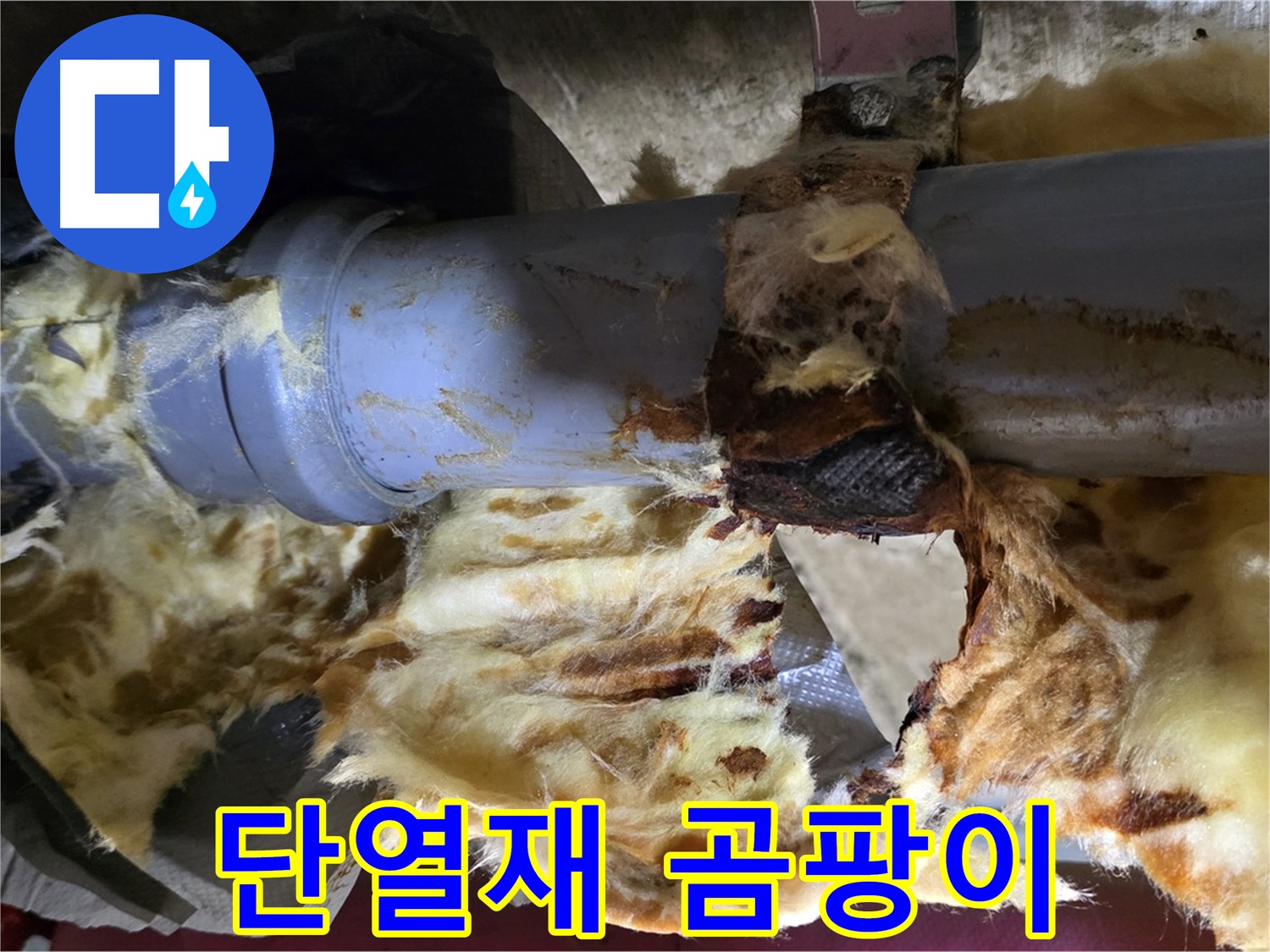 창현리 누수 - 젖은 단열재에 곰팡이가 슬어 포자가 확산될 우려가 있습니다.