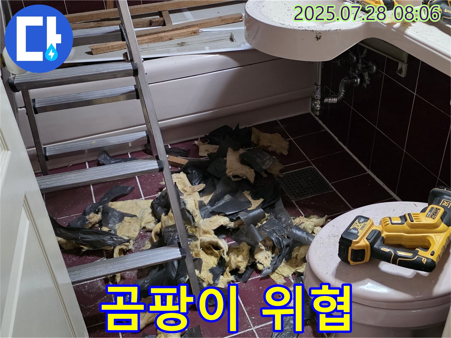 화도 두산아파트 욕실 누수 - 철거 중 드러난 곰팡이, 건강까지 위협!