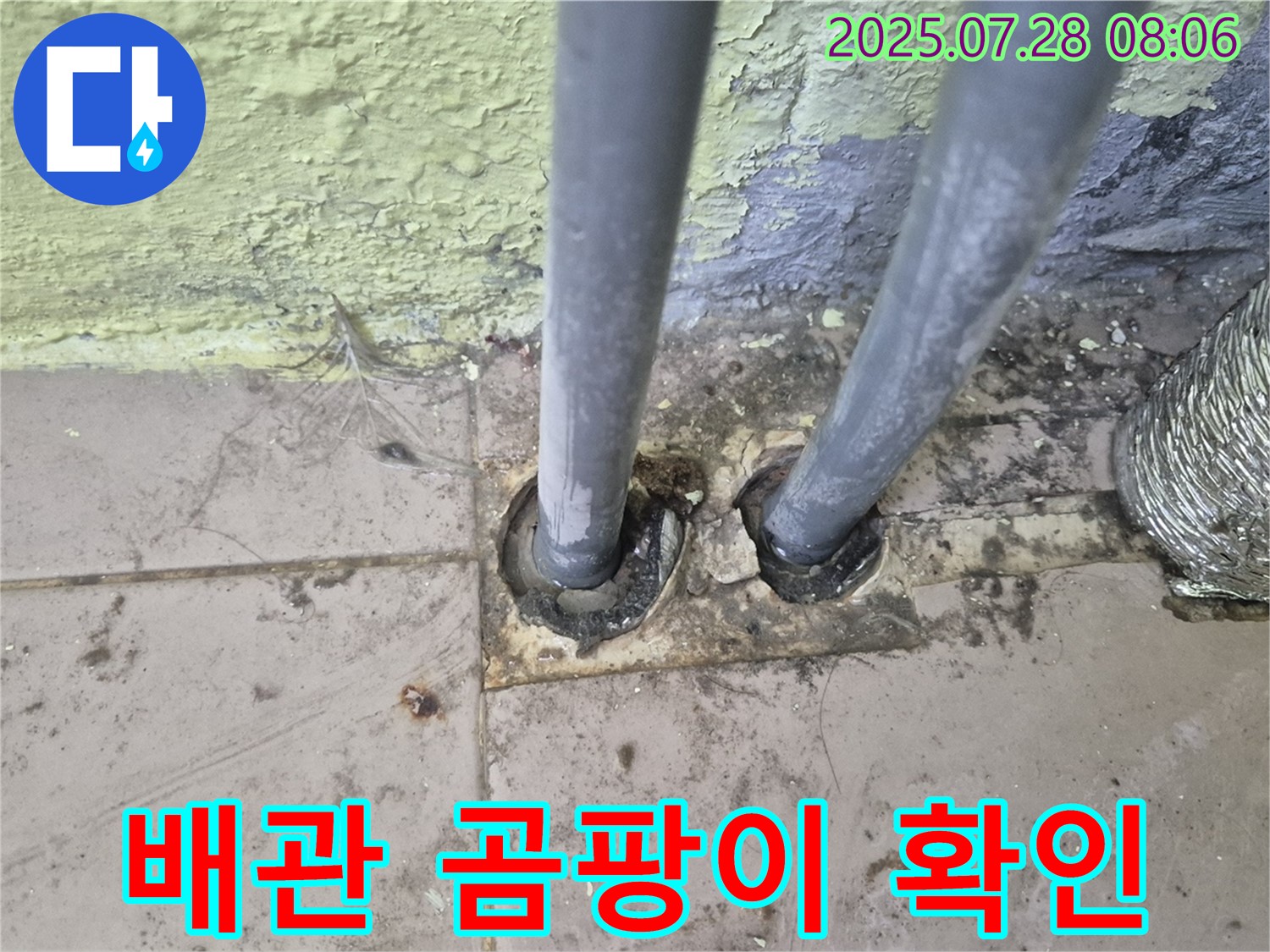 화도읍 두산아파트 - 2개의 배관 주변 곰팡이 발견 - 누수 초기 증상 의심 및 남양주 누수 전문가의 긴급 확인 필요