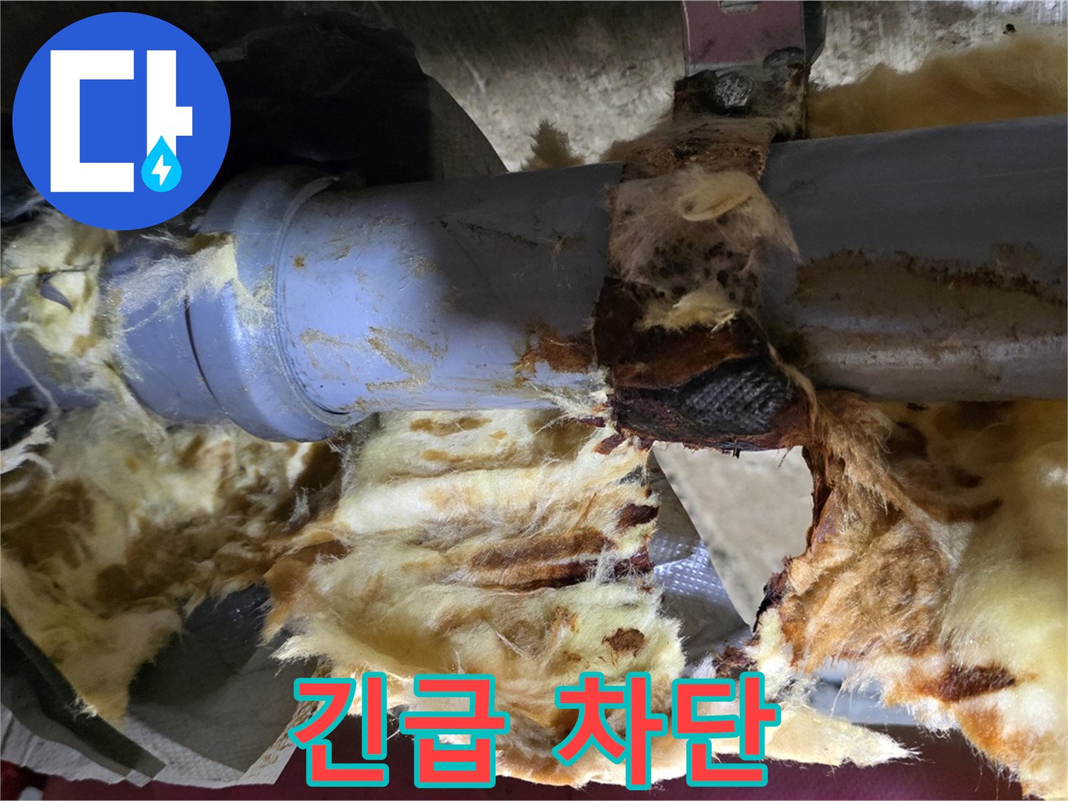 화도읍 두산아파트 누수 - 배관 연결 부위에서 누수가 발생하여 곰팡이가 빠르게 번식하고 있습니다.