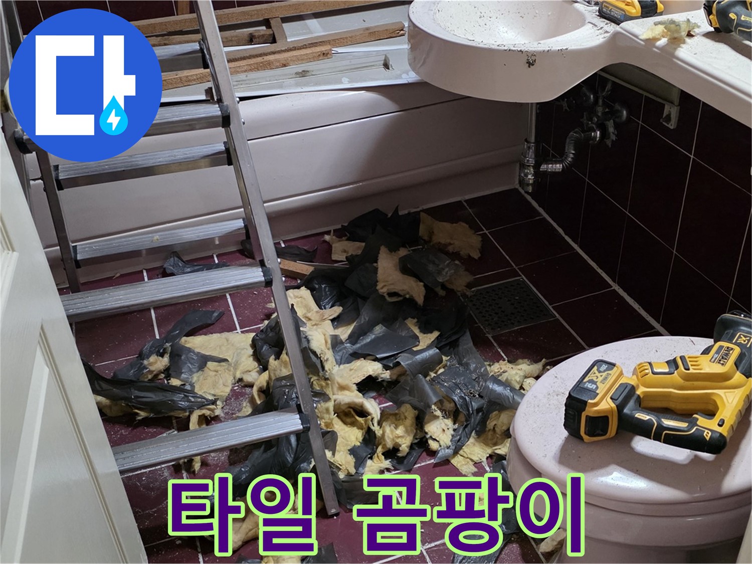 화도읍 두산아파트 욕실 낡은 타일 철거 후 드러난 곰팡이 세상 - 긴급 소탕 작전!