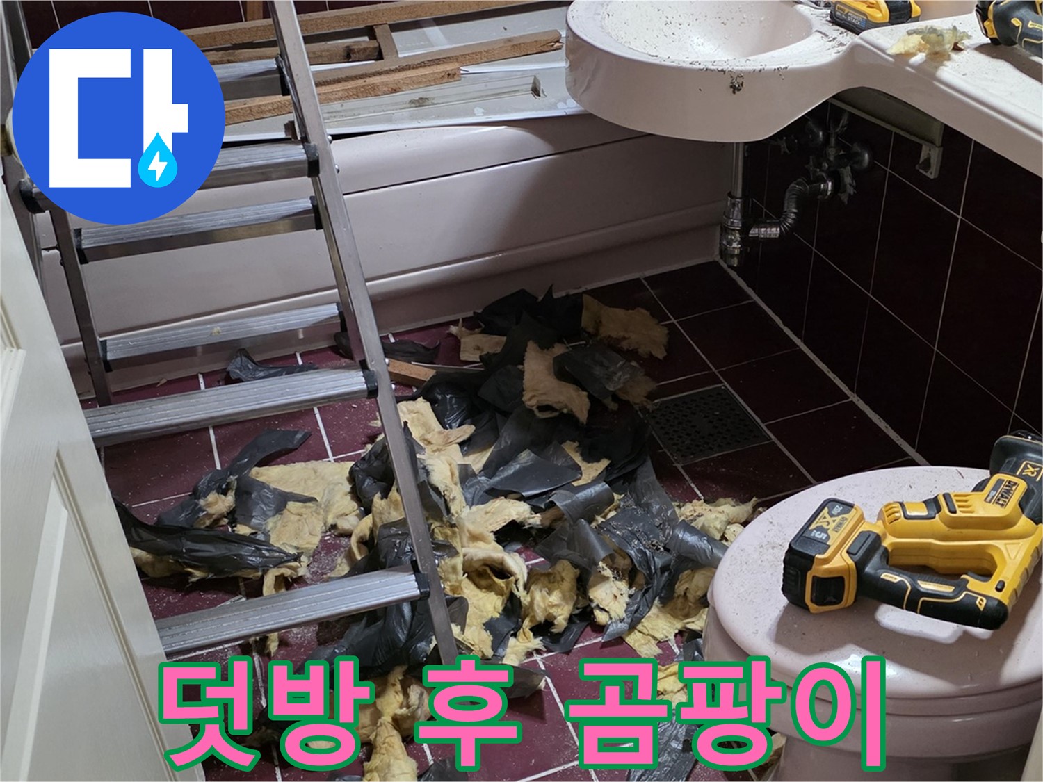 화도읍 두산아파트 욕실 덧방 시공의 최후 - 철거하니 곰팡이가 우수수
