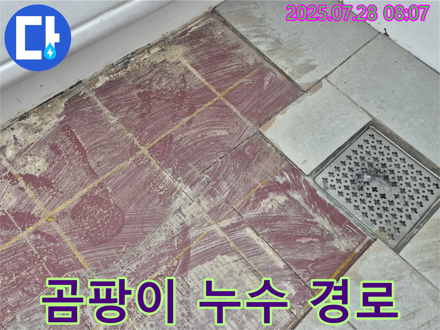 화도읍 두산아파트 욕실 - 붉은 타일 부분 철거 후 드러난 곰팡이와 함께 숨겨진 누수 경로 - 원인 파악 중요