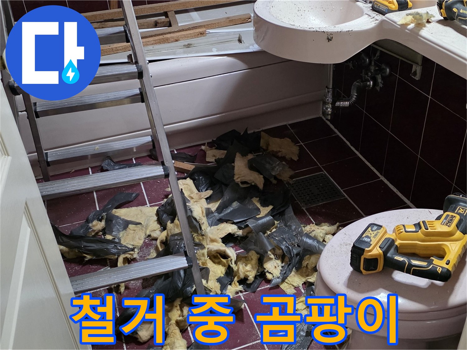 화도읍 두산아파트 욕실 철거 중 드러난 곰팡이 - 누수의 흔적, 완벽 제거