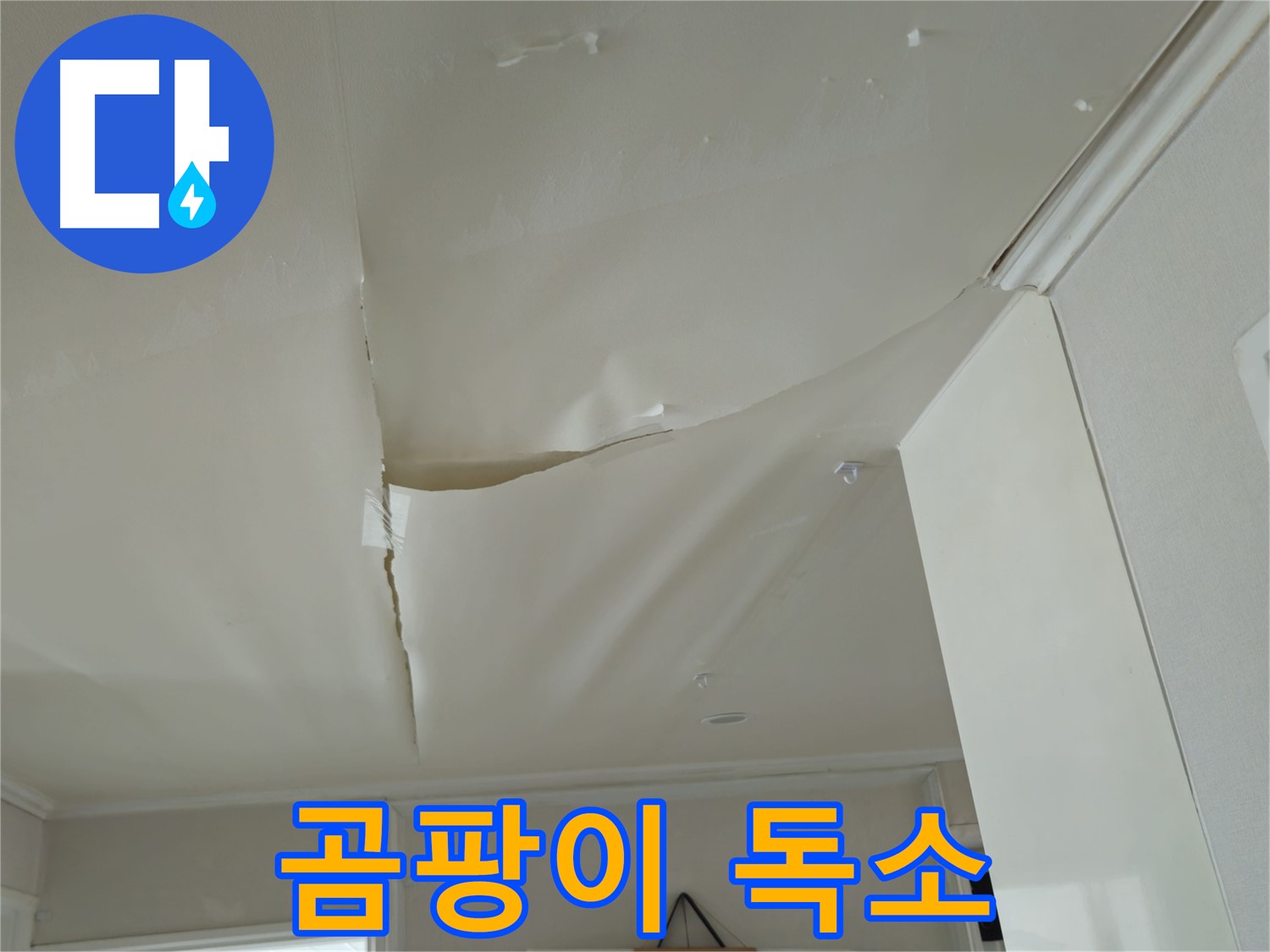 화도읍 창현리 두산아파트 천장 누수 - 곰팡이 독소, 가족 건강 위협!
