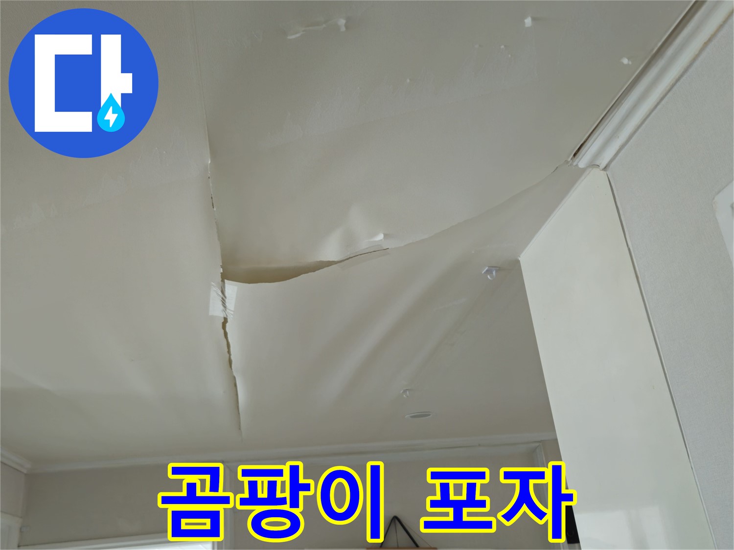 화도읍 창현리 두산아파트 천장 누수 - 곰팡이 포자, 온 가족을 공격한다!