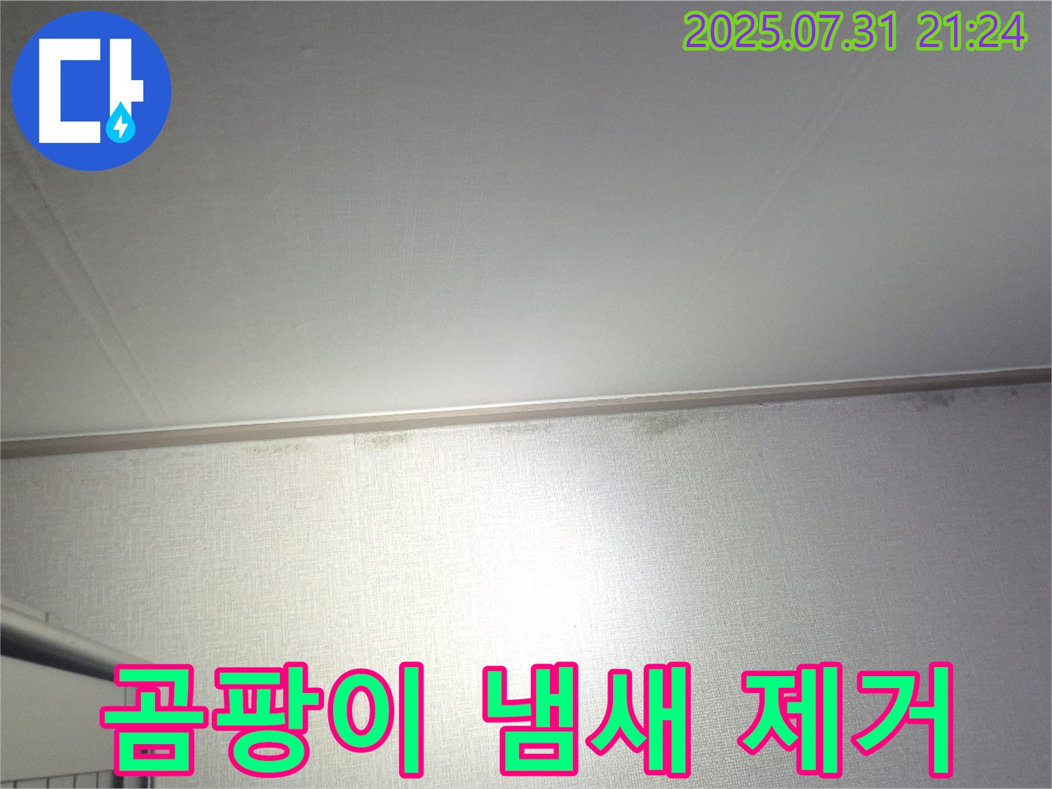 고양시 덕양구 벽 누수 - 곰팡이 냄새 제거 및 재발 방지 시공