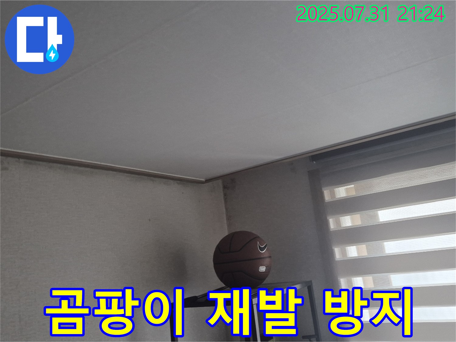 덕양구 동산동 천장 누수 - 완벽 시공으로 곰팡이 재발 방지!
