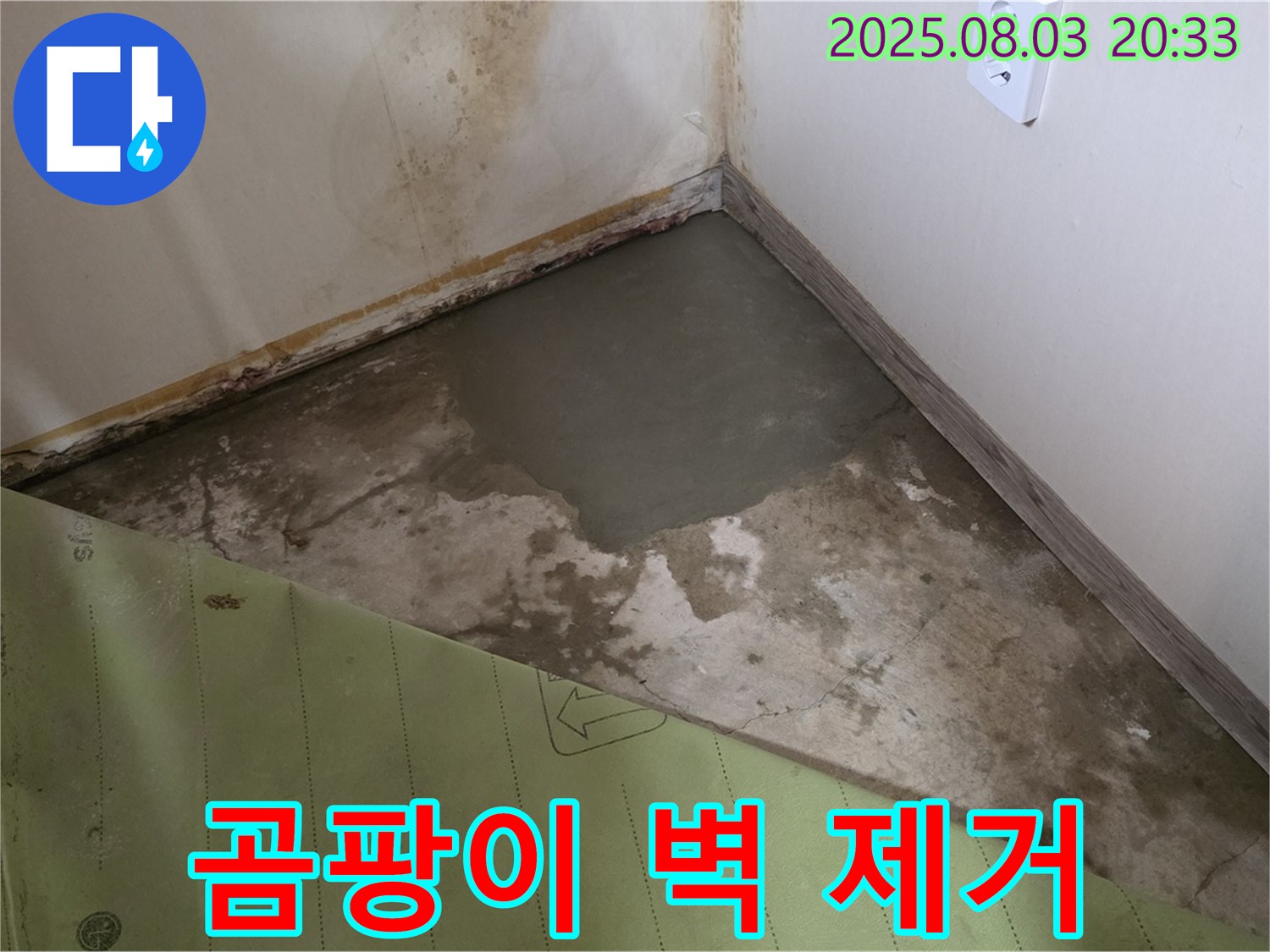 곰팡이 벽 완벽 제거 후기 - 고객 만족 누수 해결 서비스