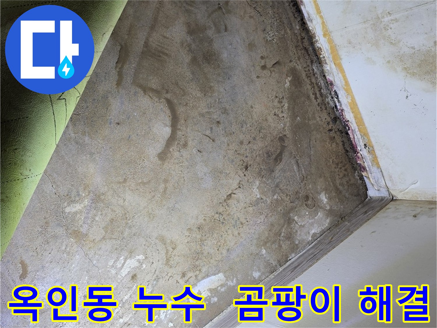 장판 밑 곰팡이 - 옥인동 곰팡이 문제 해결