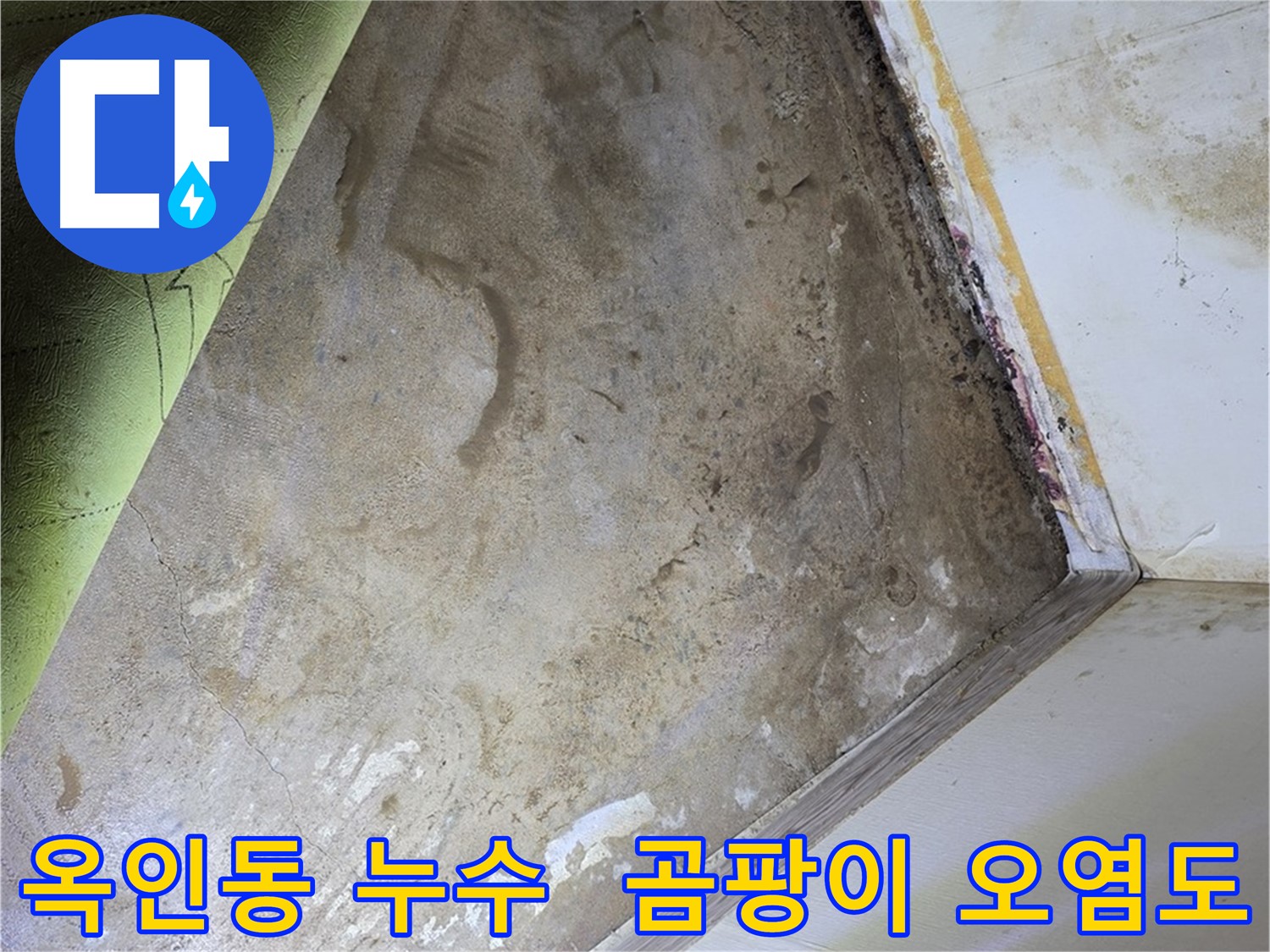 장판 밑 곰팡이 - 옥인동 곰팡이 제거 전 오염도 확인