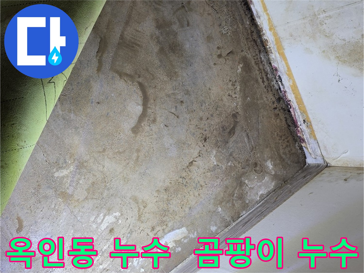장판 밑 곰팡이 - 옥인동 누수와 곰팡이 한 번에