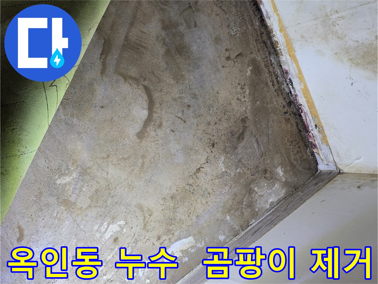 장판 밑 곰팡이 - 옥인동 장판 제거 작업