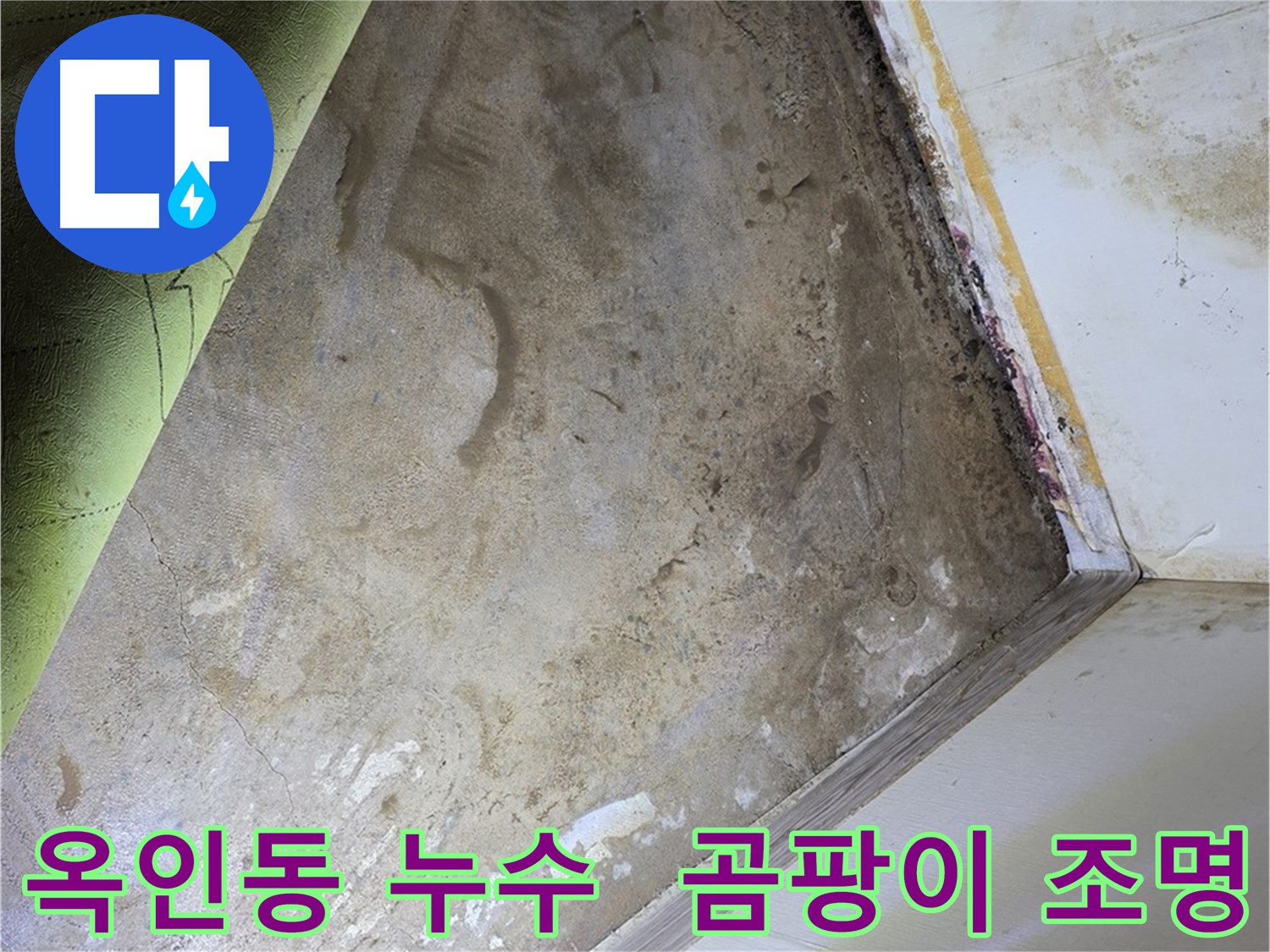 장판 밑 곰팡이 - 옥인동 조명 설치 작업