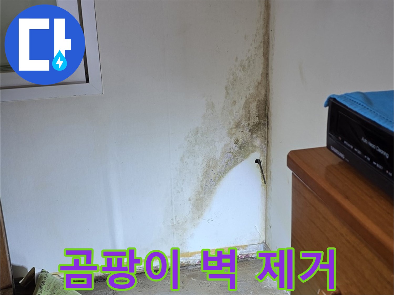 종로구 궁정동 곰팡이 벽 제거 - 완벽 제거 노하우 공개