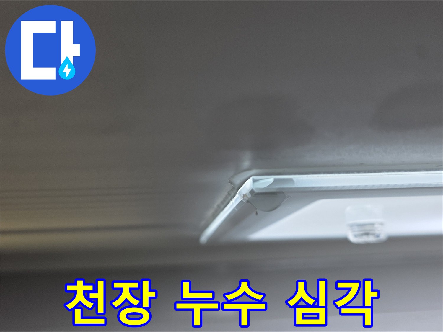 옥정 율정마을 아파트 천장 - 심각한 누수 상태를 보여주는 사진입니다.