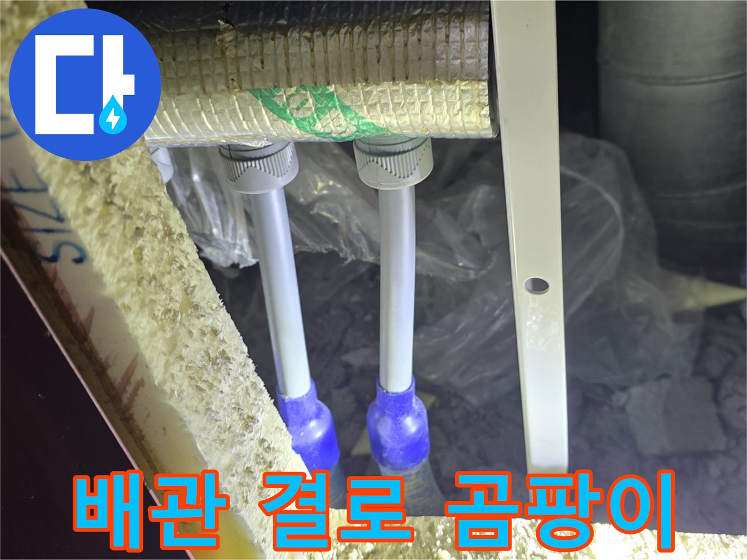 삼숭동 누수 예방 - 배관 주변 결로 발생 및 곰팡이 성장 가능성 사전 점검 진행