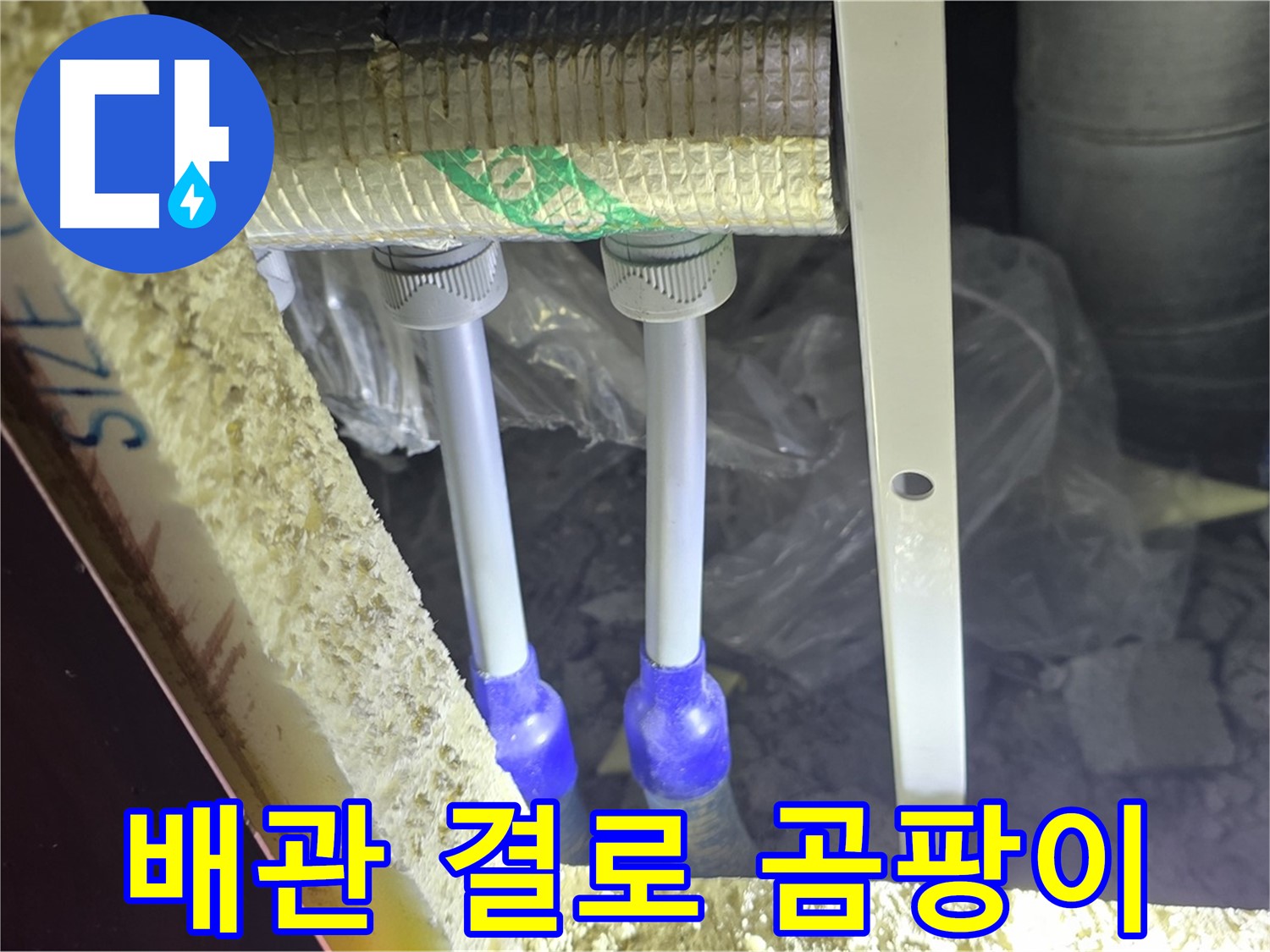 삼숭동 누수 예방 - 배관 주변 결로 발생 및 곰팡이 성장 가능성 사전 점검 진행