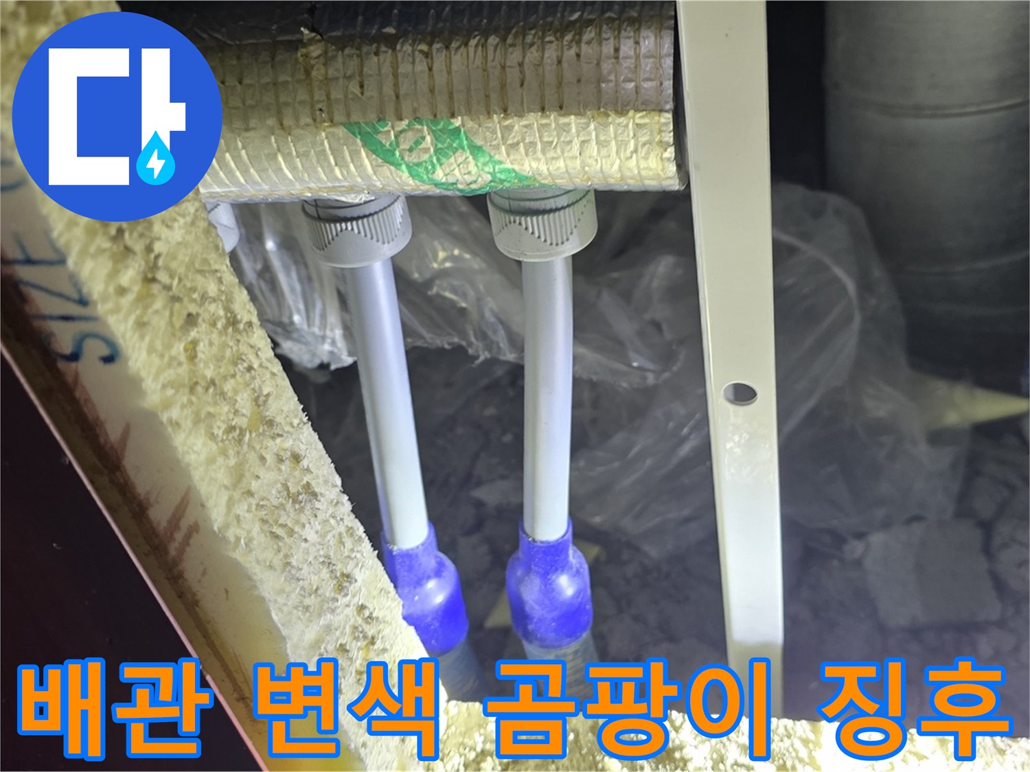 삼숭동 누수 진단 - 배관 주변 백시멘트 변색 및 곰팡이 발생 징후로 인한 누수 가능성 진단