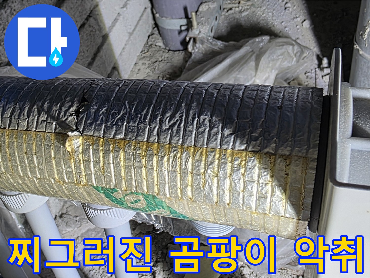 삼숭동 누수 - 찌그러진 자바라, 곰팡이 서식 - 악취 발생