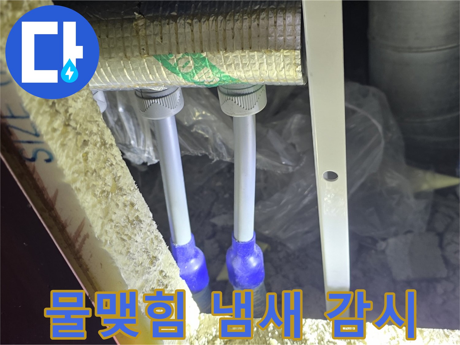 삼숭동 양주자이 누수 - 배관 연결 부속 주변 물맺힘 및 곰팡이 냄새 발생 여부 집중 감시