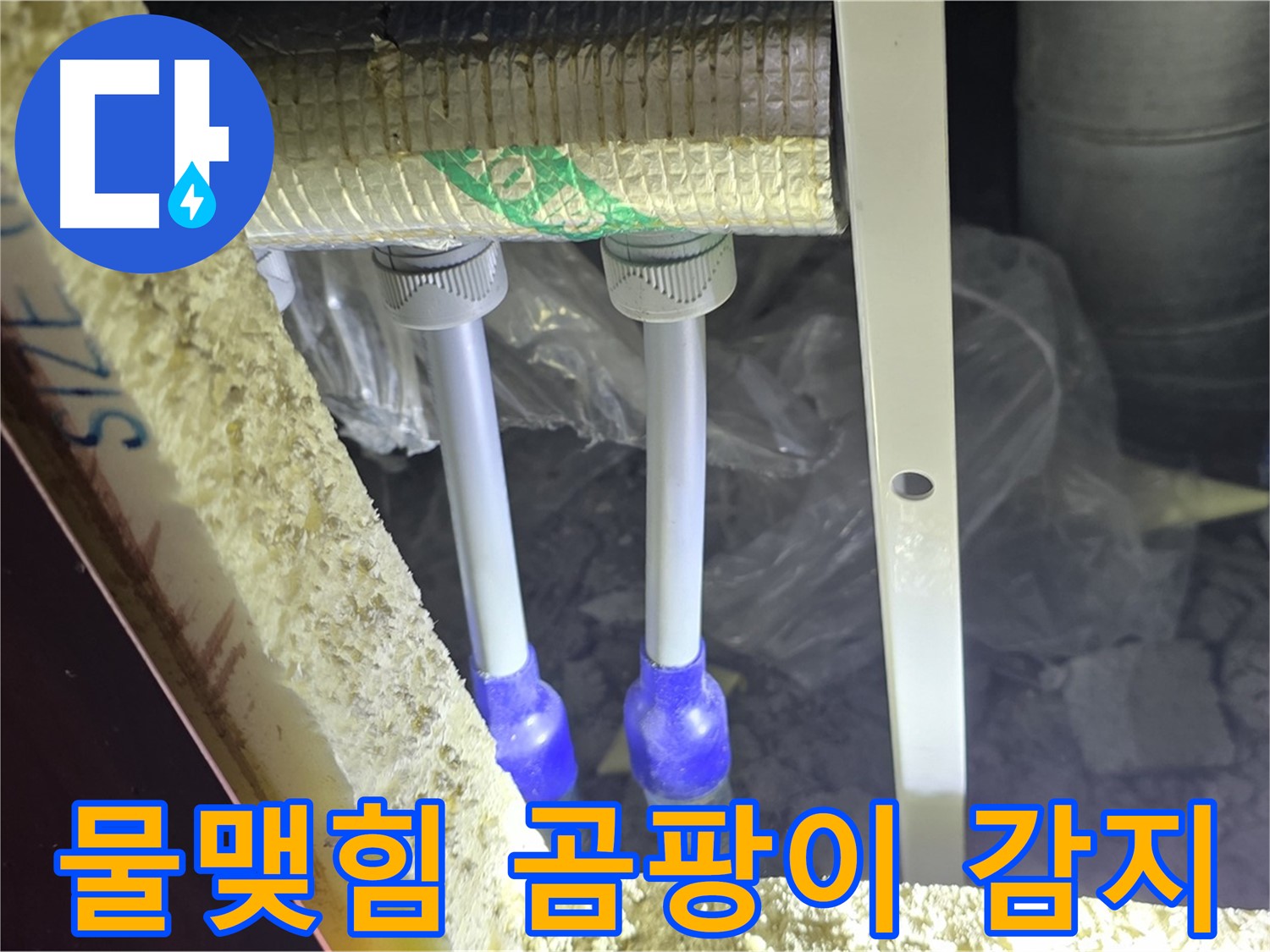 삼숭동 양주자이 누수 - 배관 연결 부속 주변 물맺힘 및 곰팡이 흔적 꼼꼼히 감지