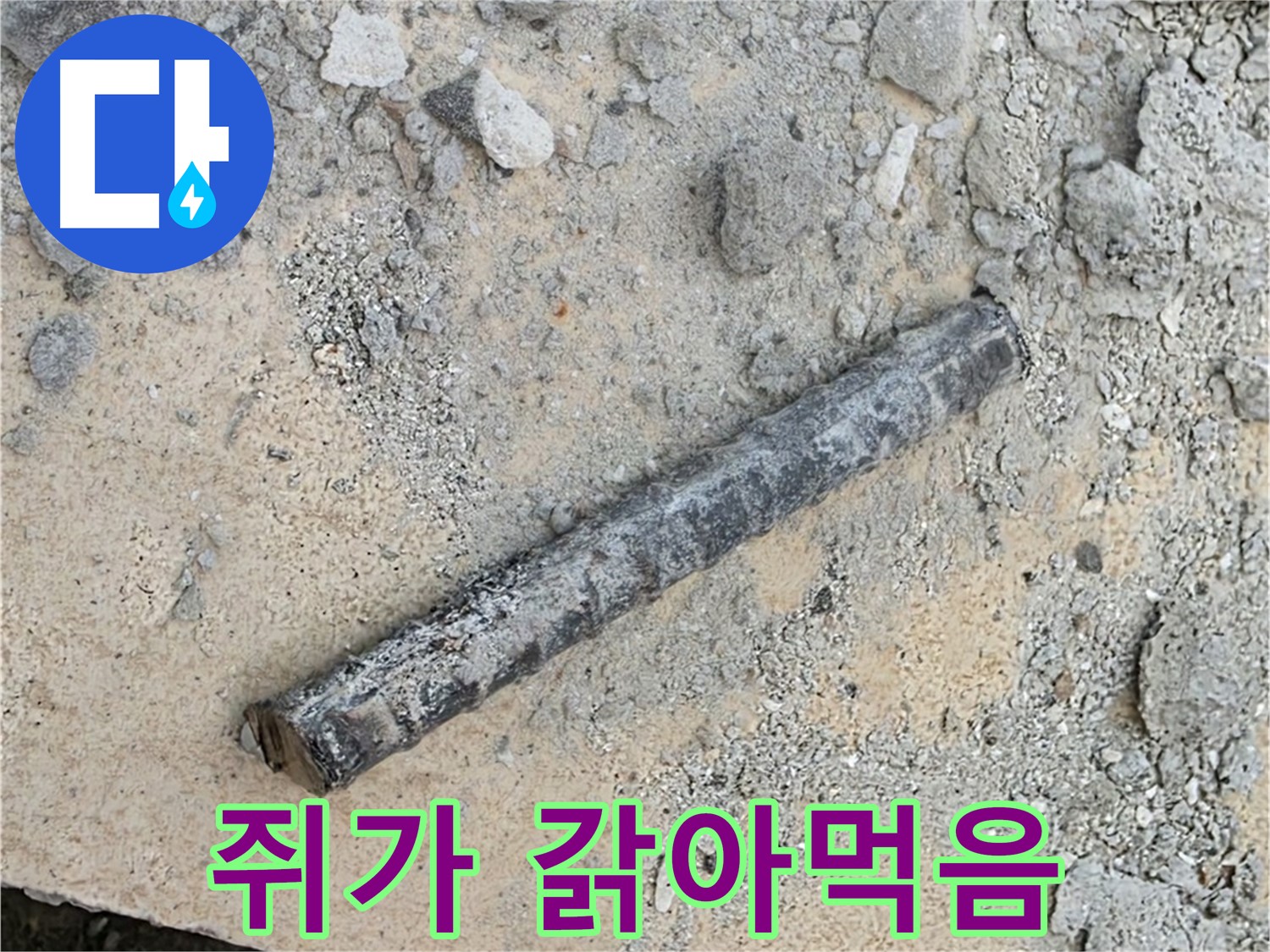 쇠 막대와 갉아먹힌 고무 패킹 - 쥐 때문?