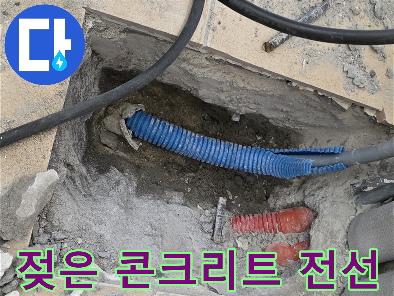 양주 삼숭동 누수 - 굴착 후 젖은 콘크리트와 꼬불거리는 파란 전선관이 드러났습니다