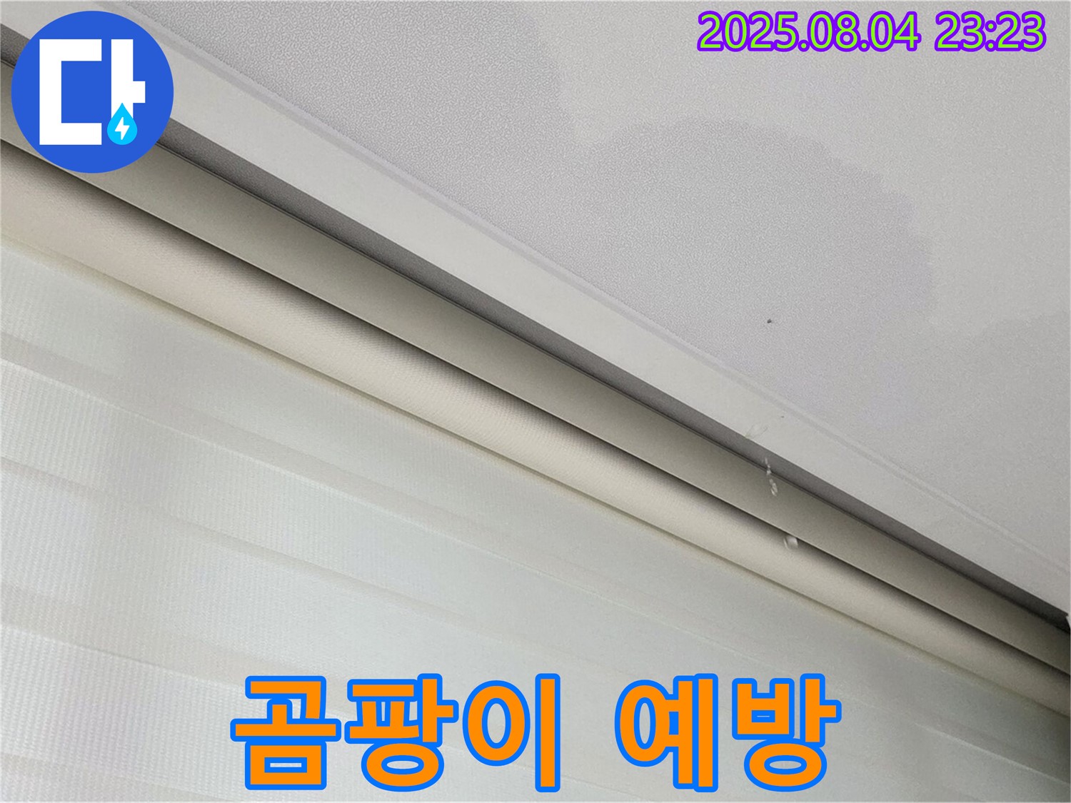 양주 삼숭동 자이아파트 107동 누수 - 천장 누수 흔적, 곰팡이 발생 전에 조치하세요!