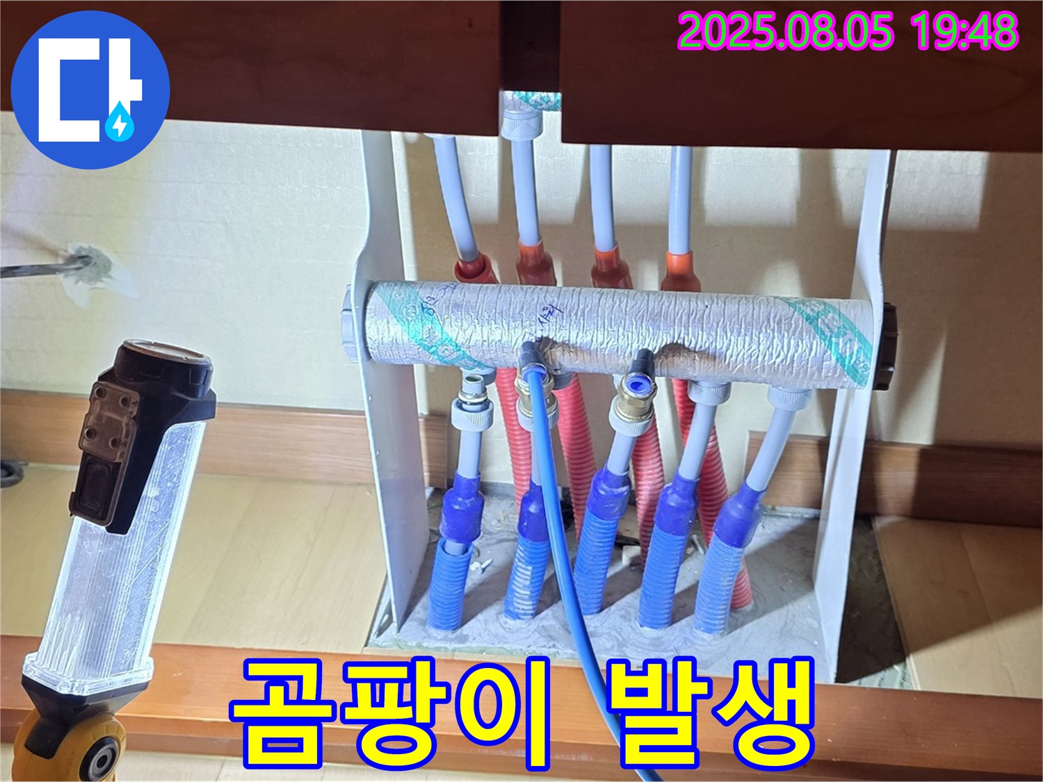 양주 삼숭동 자이아파트 싱크대 누수 - 분배기 주변 곰팡이 발생 - 원인 제거 필수