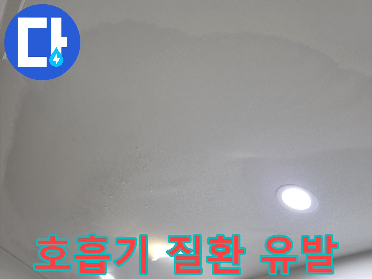 양주 아파트 누수 - 곰팡이 천장, 호흡기 질환