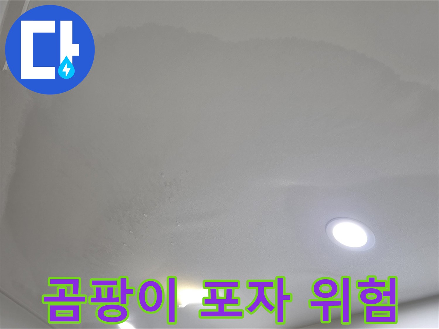 양주 아파트 누수 - 젖은 석고보드, 곰팡이 포자 확산