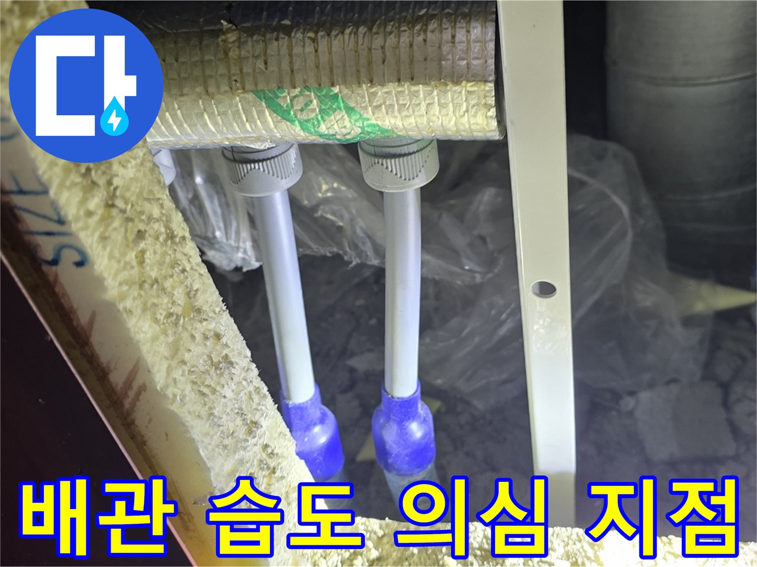 양주 자이 아파트 누수 - 배관 연결 부위 주변 습도 변화 및 누수 의심 지점 정밀 검사