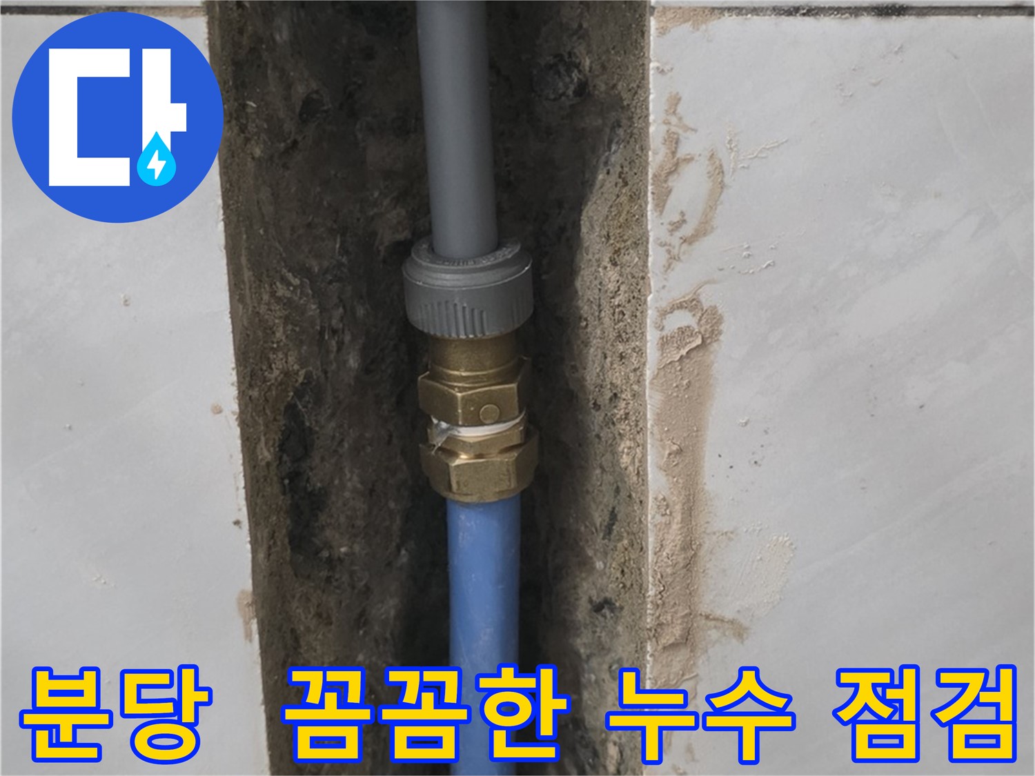 분당 쇳골 - 꼼꼼한 누수 점검으로 완벽 해결