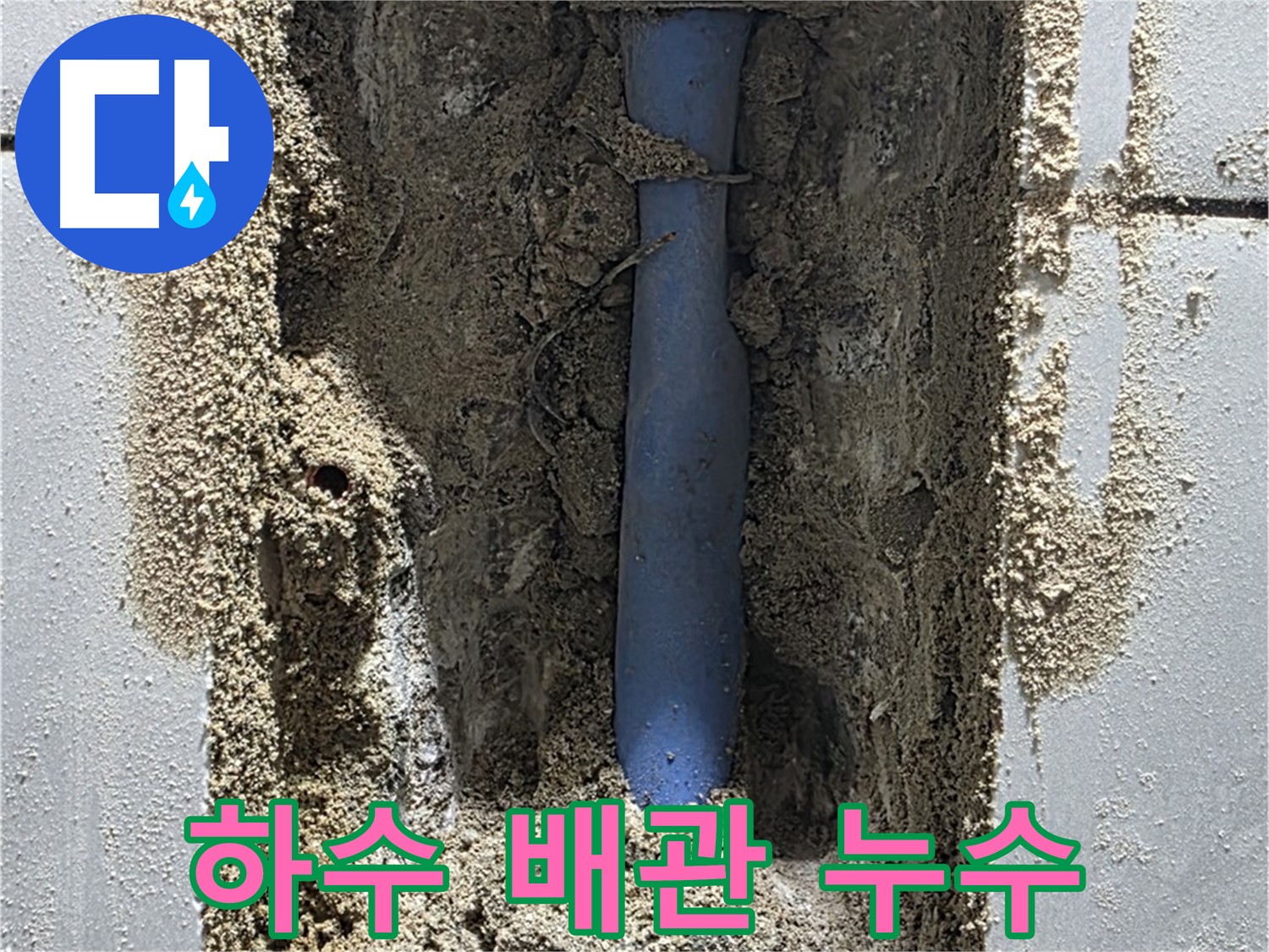 분당 정자동 누수 - 하수 배관의 고질적인 누수 문제 해결