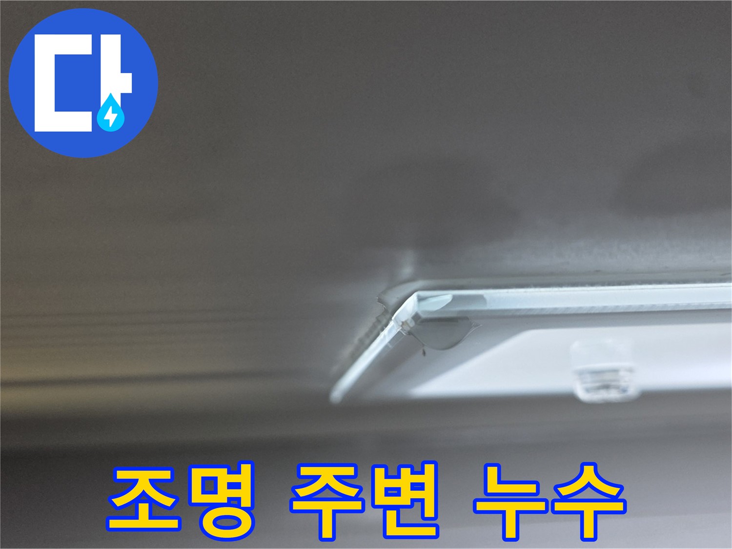 옥정 율정마을 아파트 천장 누수 - 조명 주변에 누수 흔적이 선명하게 나타나고 있습니다.