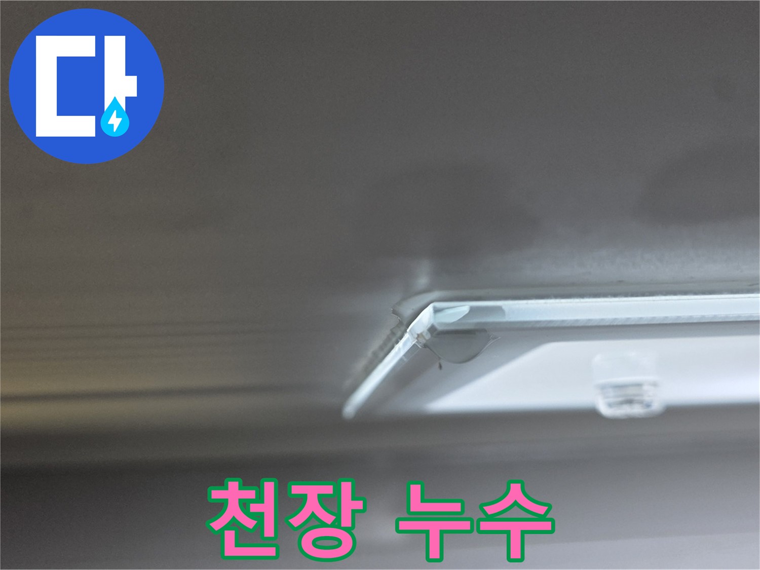 옥정동 율정마을 아파트 천장 누수 - 누수 발생 위치를 정확히 확인하고 누수 탐지를 진행합니다.
