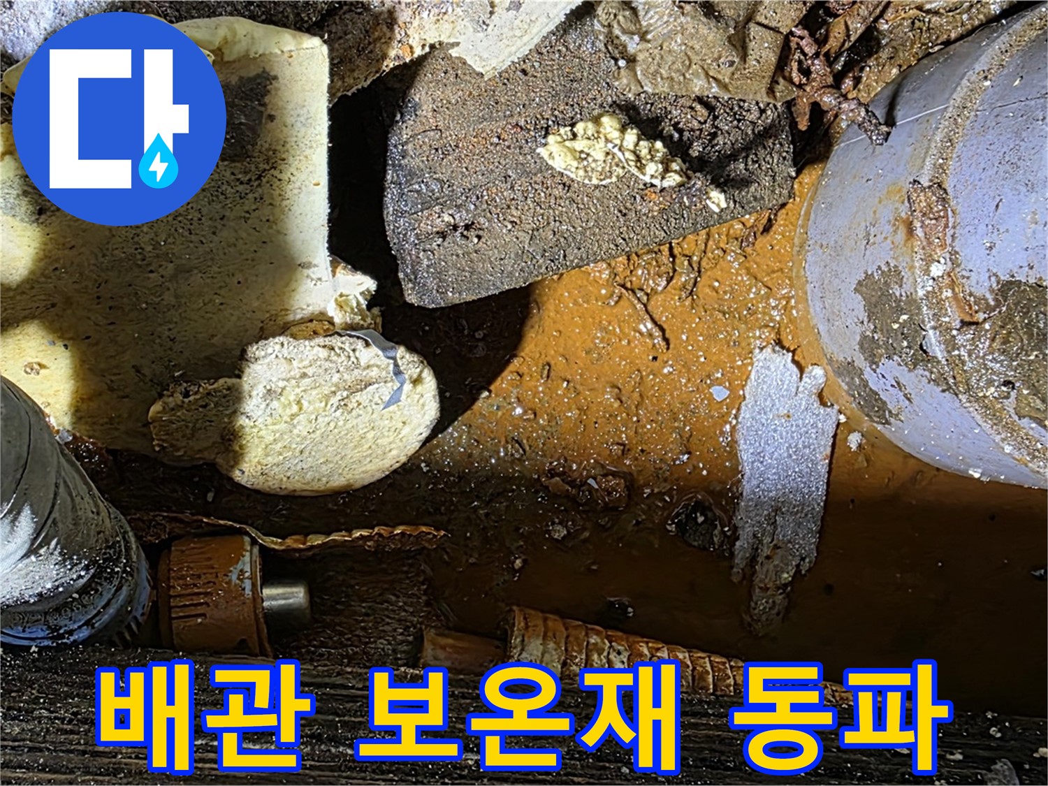 원삼 누수 현장 - 배관 부식과 보온재 문제 - 겨울철 동파 대비가 필요합니다.