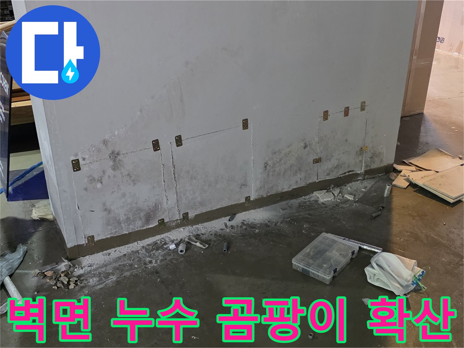 원삼면 건물 벽면 전체 누수 - 곰팡이 확산 우려, 신속 점검 필요