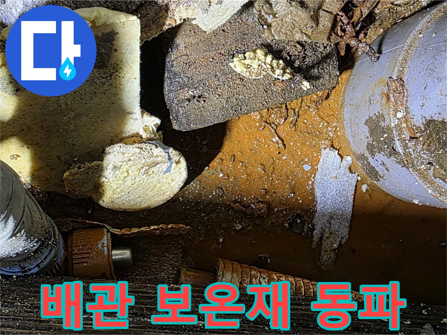 원삼면 누수 현장 - 낡은 배관과 훼손된 보온재 - 겨울철 동파 대비가 필요합니다.