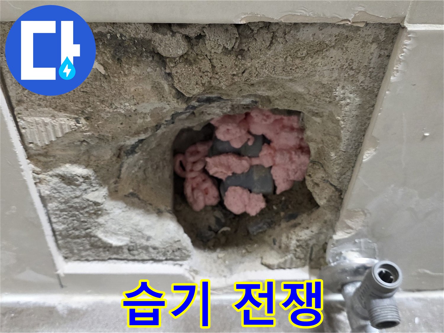 래미안월곡 123동 누수 - 곰팡이 단열재, 습기와의 전쟁에서 승리하고 쾌적한 욕실을 되찾겠습니다