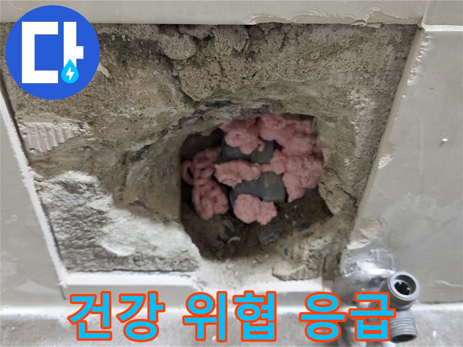 래미안월곡 123동 욕실 천장 누수 - 곰팡이 단열재, 건강을 위협합니다! 응급 처치를 시작합니다