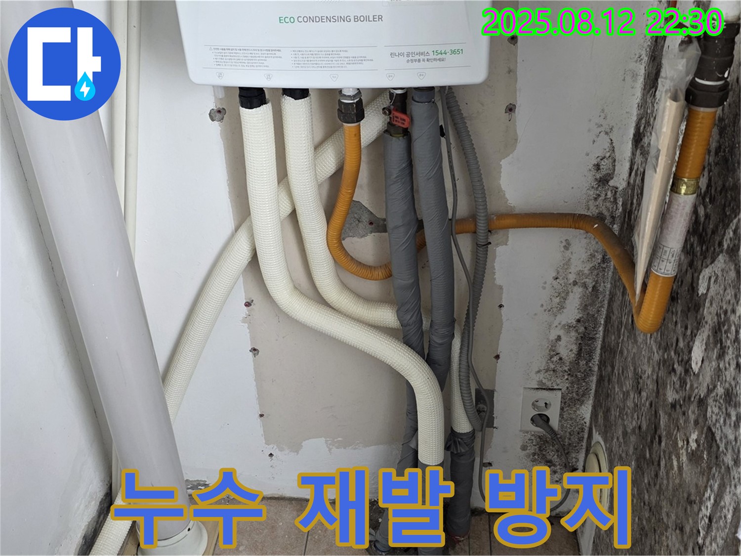 길음1동 숭인동 노후 주택 곰팡이 벽 - 누수 해결은 물론 재발 방지 시공까지 책임 시공.
