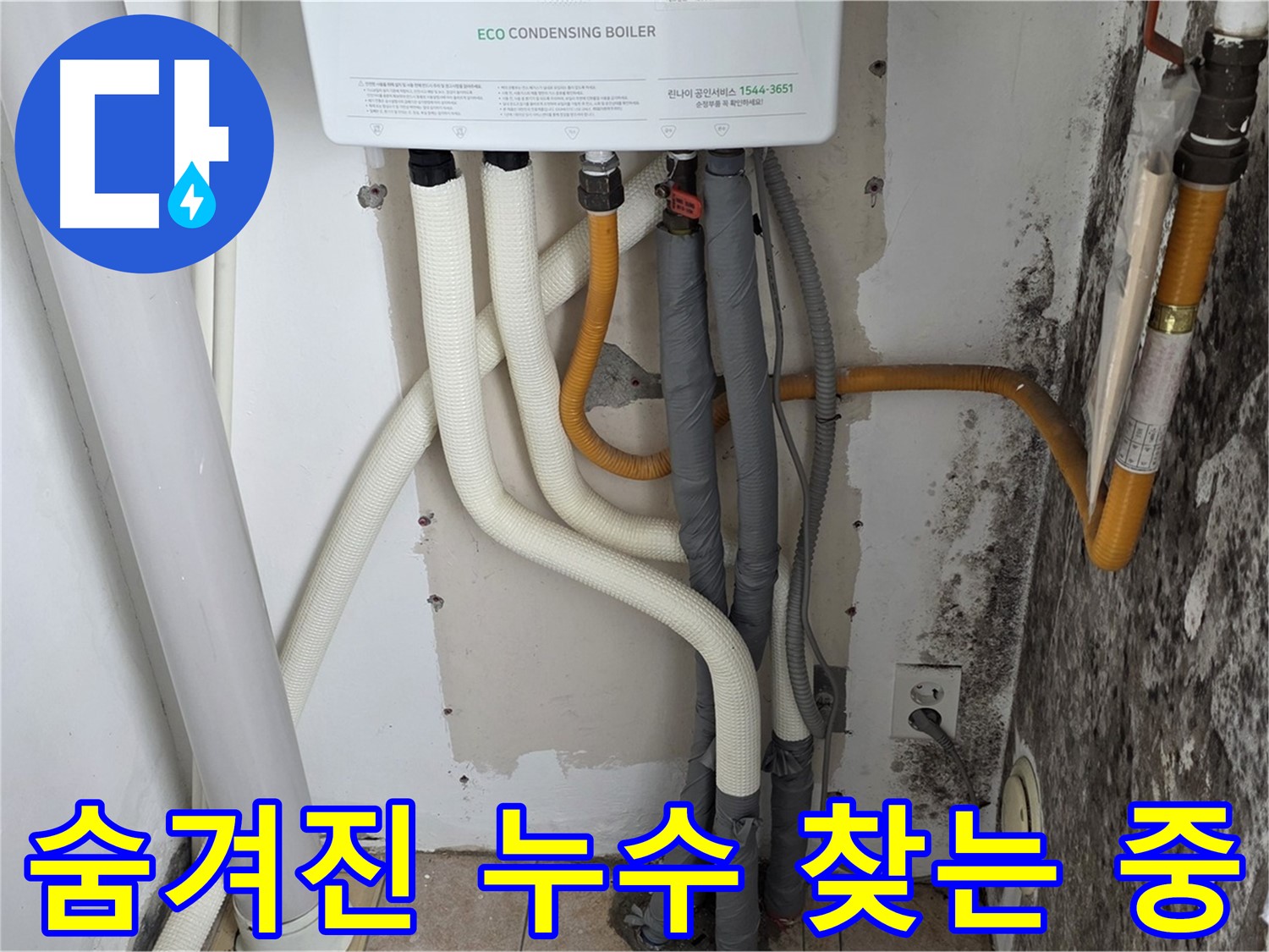 길음1동 아파트 누수 탐지 - 곰팡이 핀 벽, 숨겨진 보일러 배관 연결부 누수 지점 찾는 작업