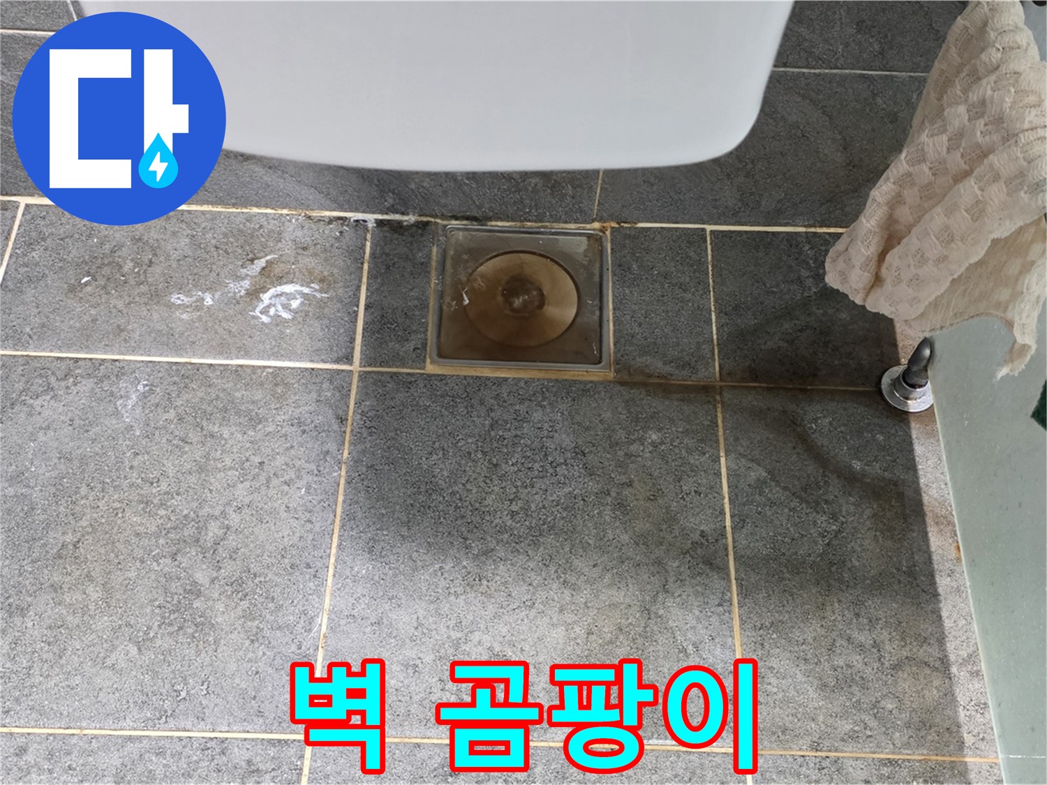 벽에 곰팡이 - 숨겨진 누수 탐지 전문 - 확실 해결